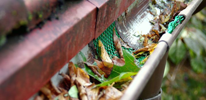 Old gutter that needs to be cleaned out because of leaves